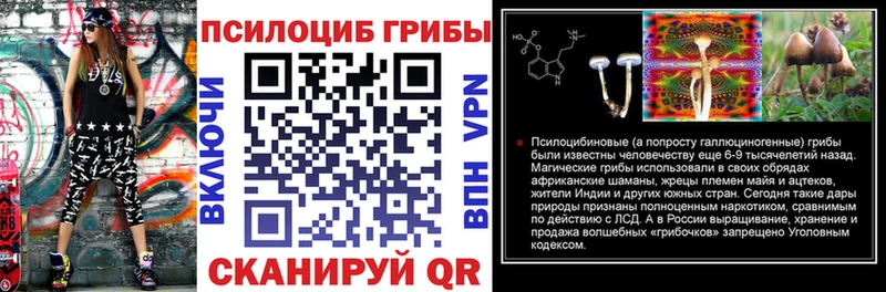 Псилоцибиновые грибы MAGIC MUSHROOMS  Купить закладки  Нязепетровск 